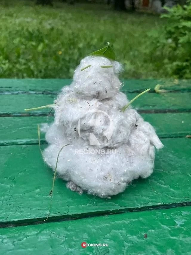 ⛄️ Тамбовские дворы захватили «пуховички»