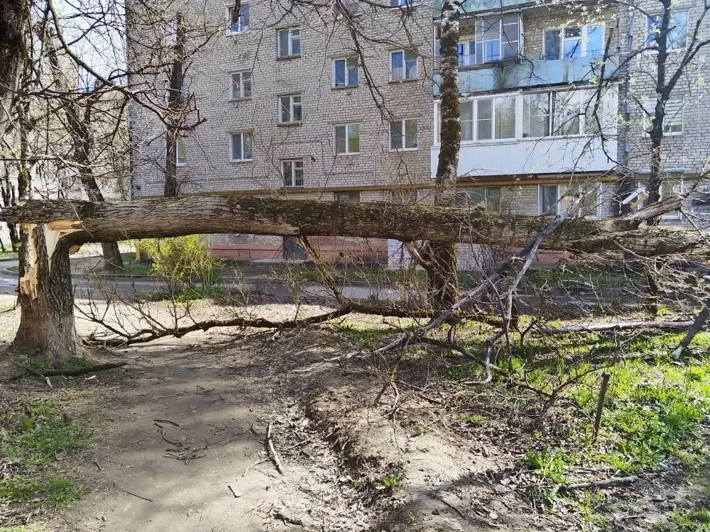 ❗️В связи с усилением порывов ветра и неблагоприятными погодными условиями все коммунальные службы г
