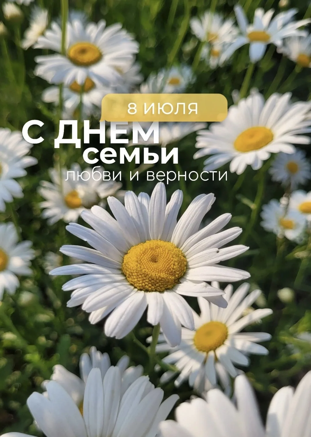 🌼Сегодня — День семьи, любви и верности! 

Этот праздник напоминает нам о самом главном — о тех, кт