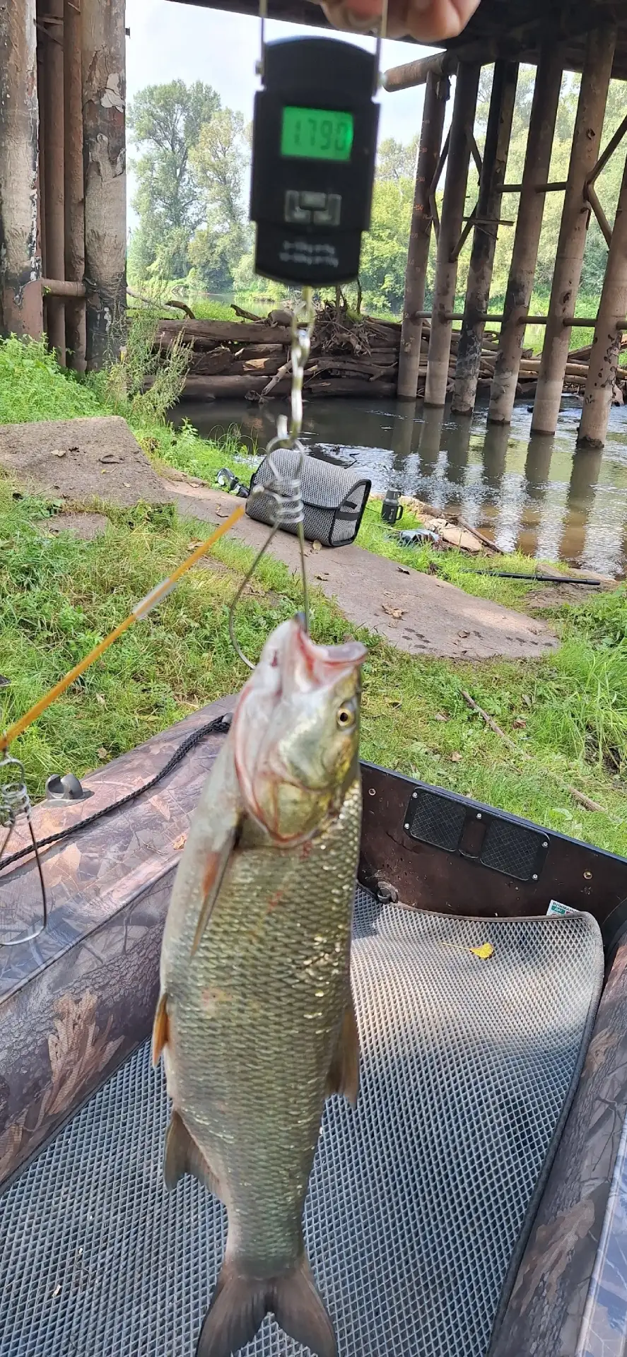 Всем пламенный рыбацкий привет🐟 Благоприятное утро сегодня💥 Удалось поймать жереха на...