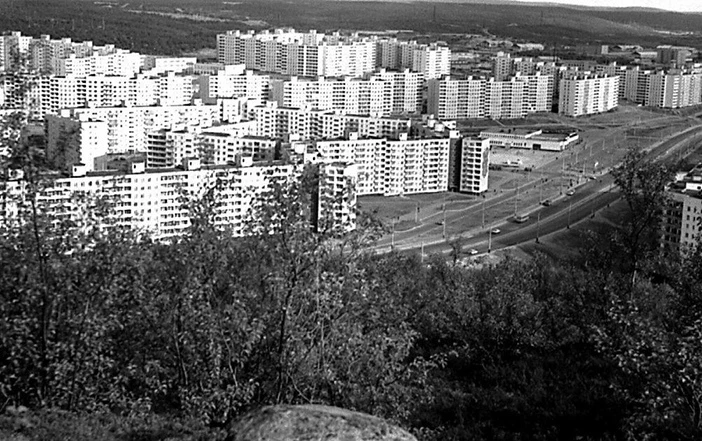 1984 год
