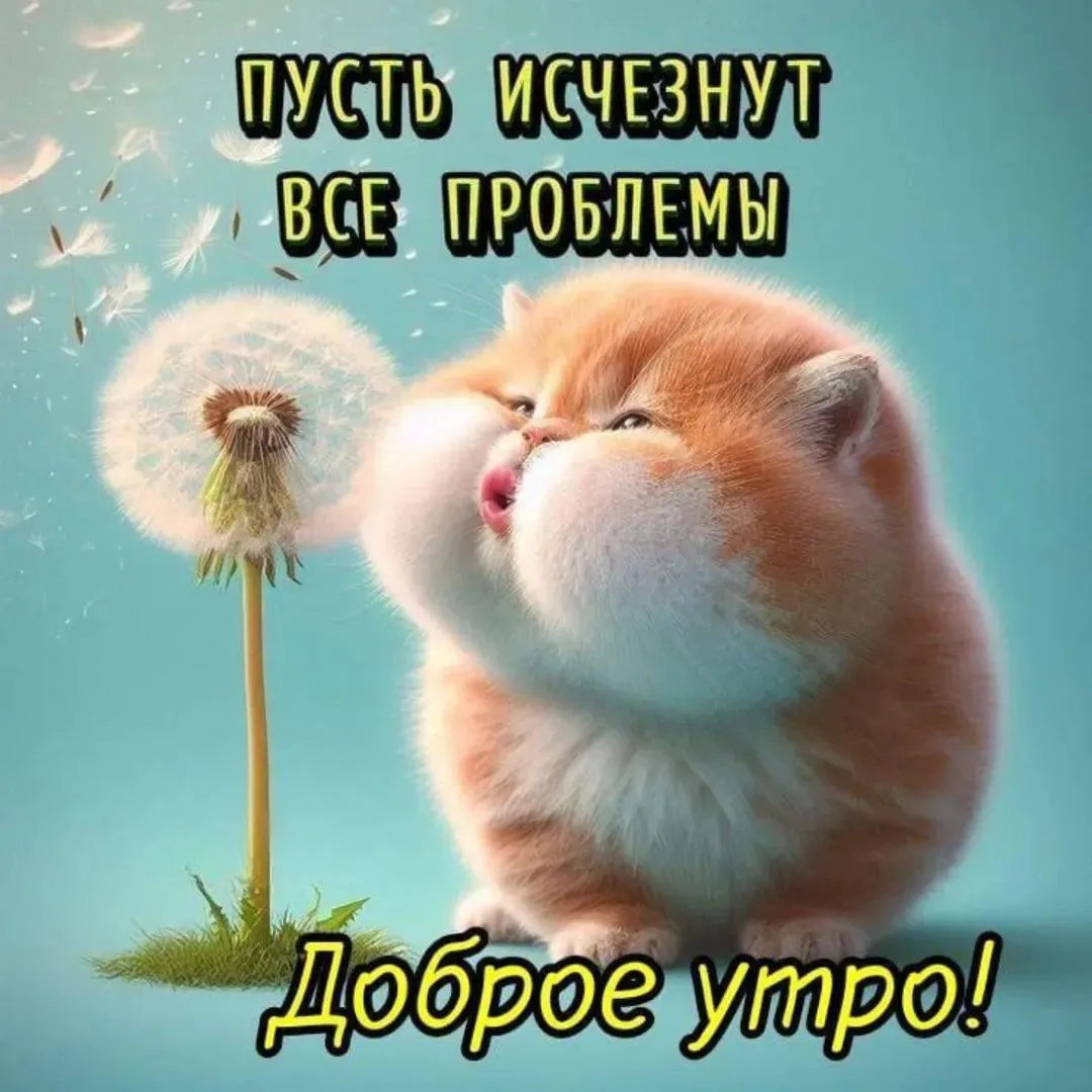 Мир открыток