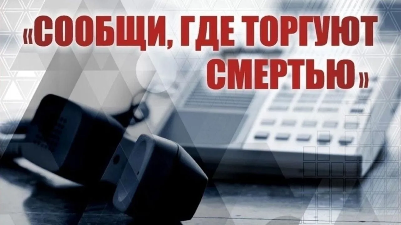 ✨В рамках первого этапа Общероссийской акции «Сообщи, где торгуют смертью» учащиеся 6-1...
