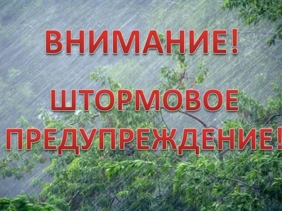 ЭКСТРЕННОЕ ПРЕДУПРЕЖДЕНИЕ