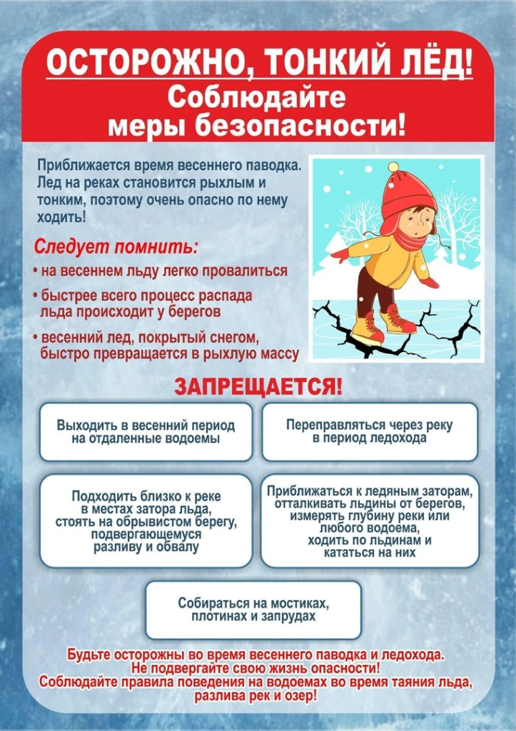 Не смотря на капризы погоды, к нам приходит долгожданная весна 🌱 В воздухе уже веет те...