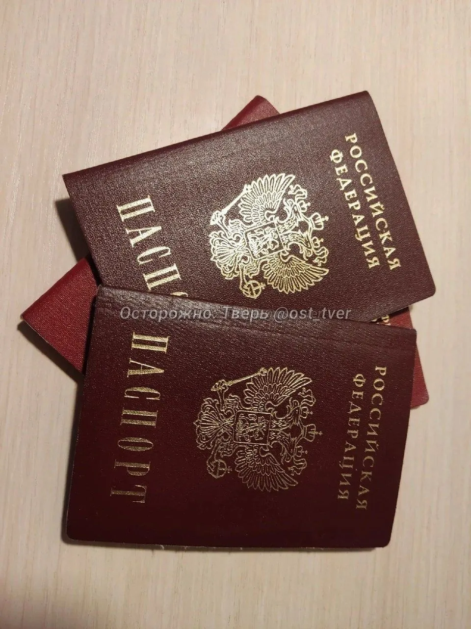 🌈 Тверичанку оштрафовали за радужную обложку паспорта по статье о демонстрации символики экстремист