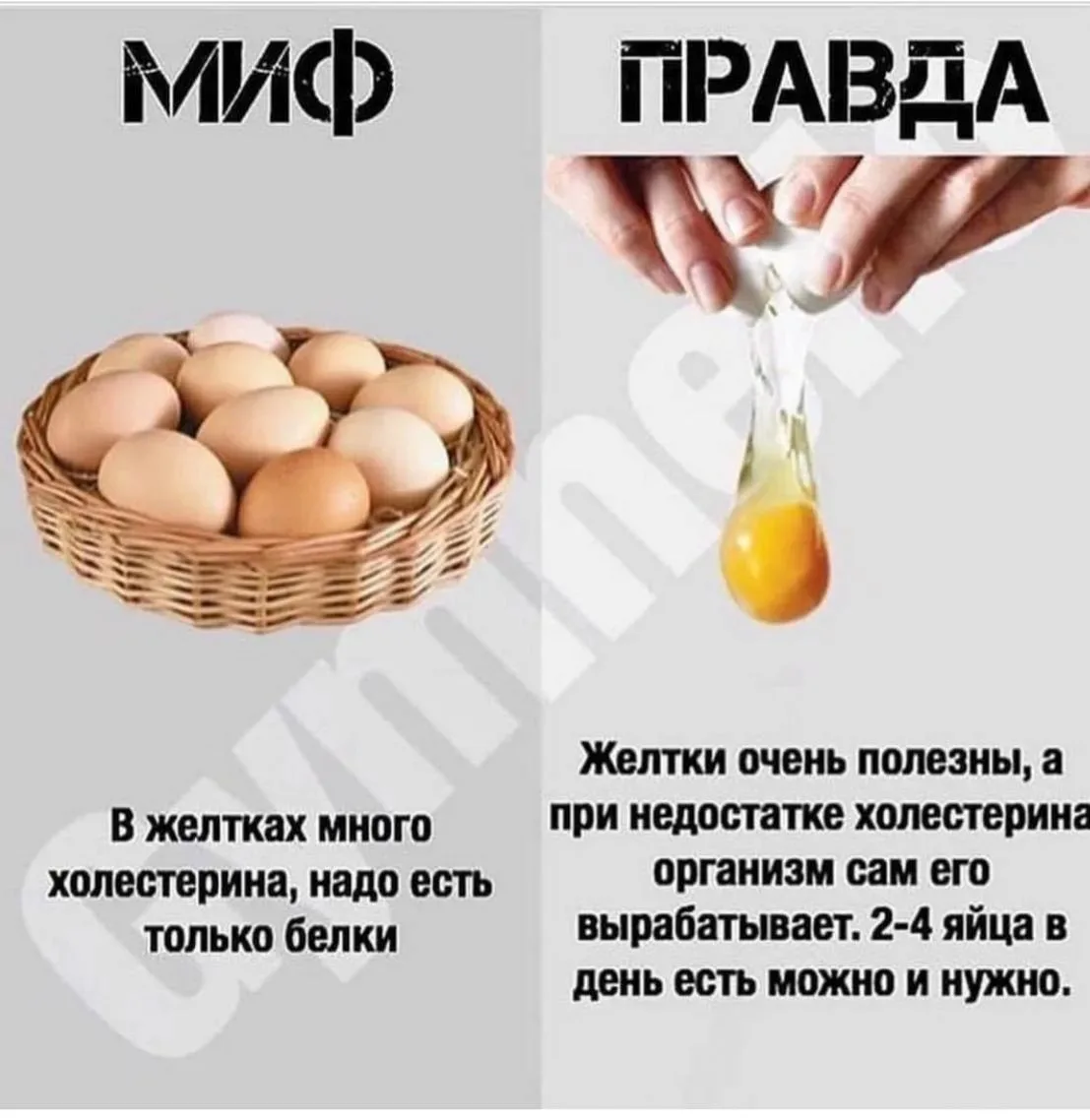 Правда о яичных желтках