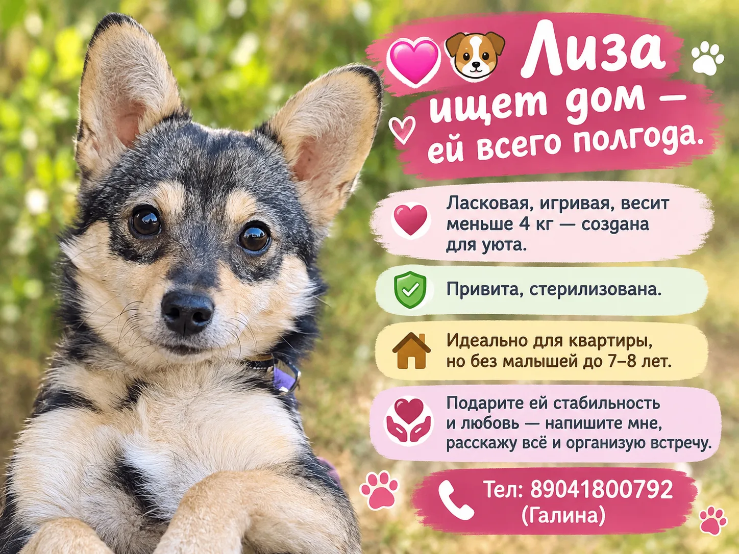 💔 Два раза предали. Лизе всего полгода и она снова ищет дом 🏠