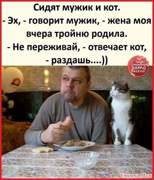 Юмор | Приколы | Мемы 👇🏻