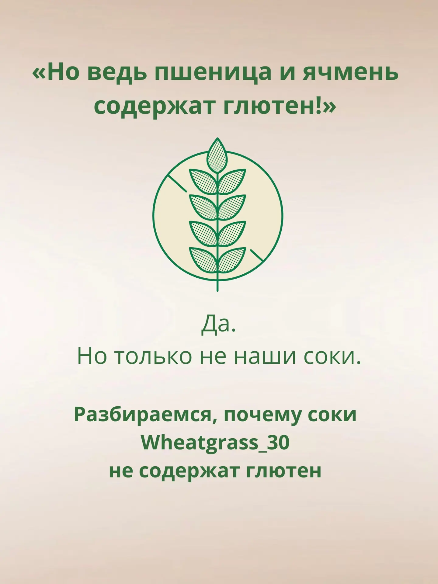 «Но это же пшеница! Там точно есть глютен!»

Это один из самых частых вопросов, которые мы получаем.