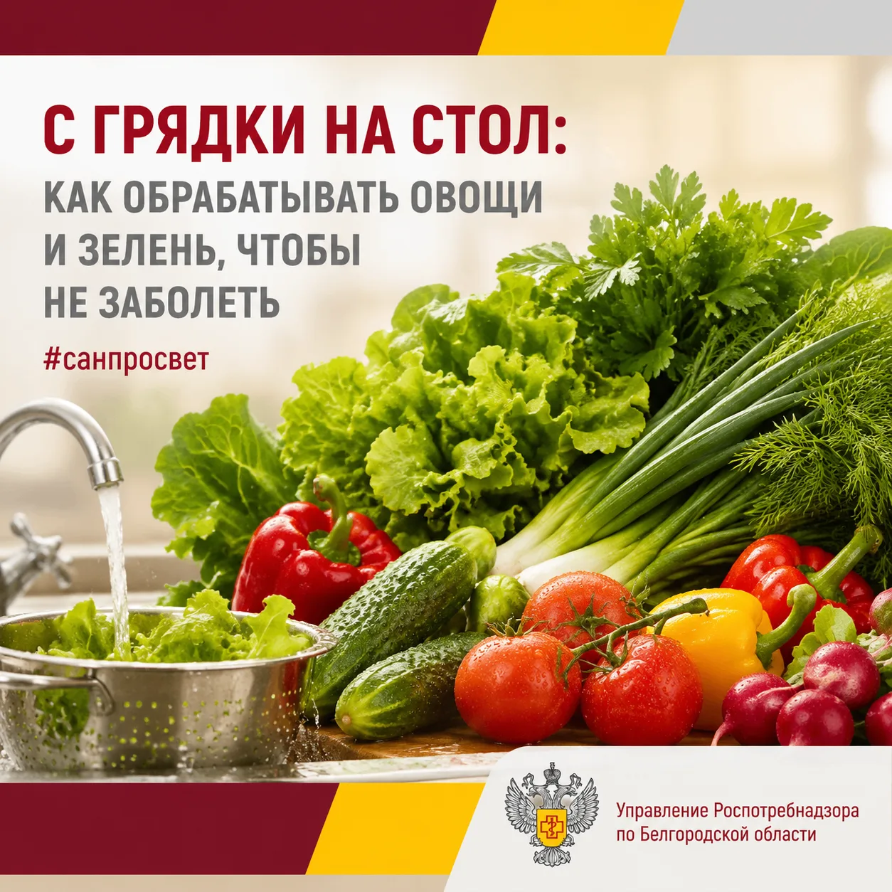 🥬 С грядки на стол: правила мытья овощей и зелени

📌 Даже самые красивые и свежие плоды могут нест