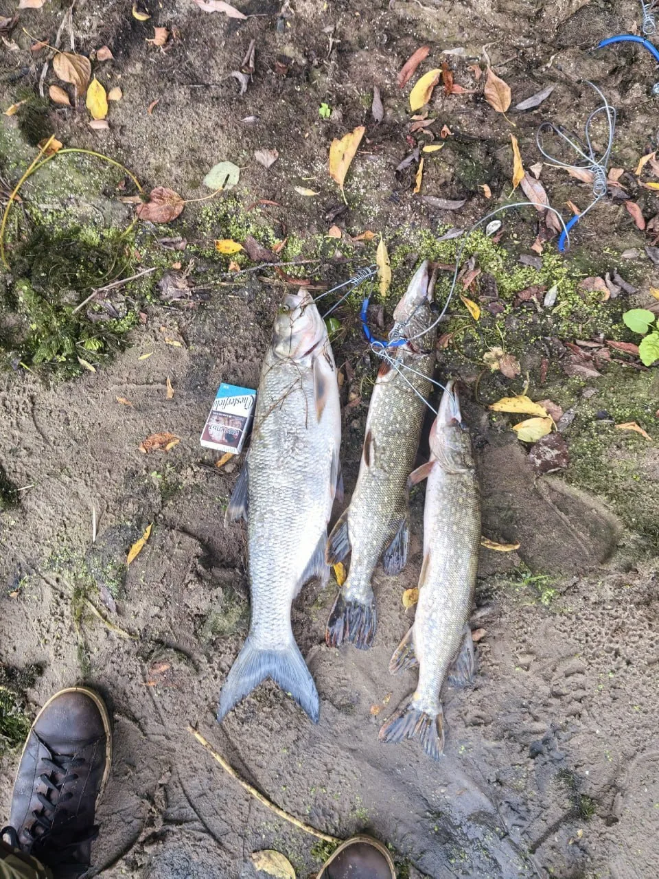 28.09.26