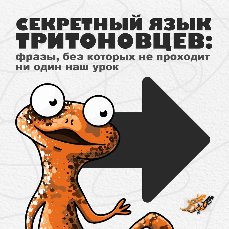 🤫 Проверим, а вы понимаете наш секретный язык? Его понимают только истинные тритоновцы   Помните, ка