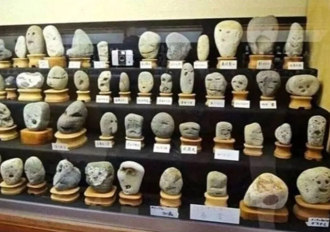 Когда после лета