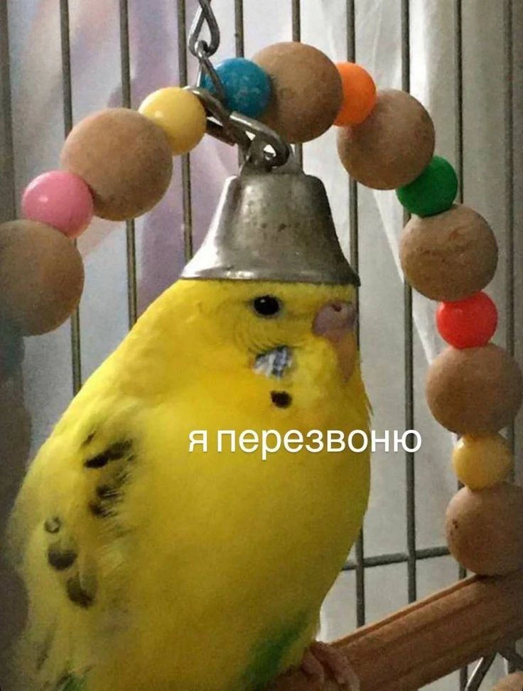 Пятничные мемы для хорошего настроения перед выходными✨