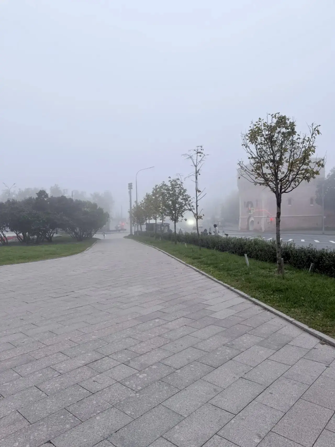 Ранние пташки, вместе с вами идём на работу в тумане 🌫️