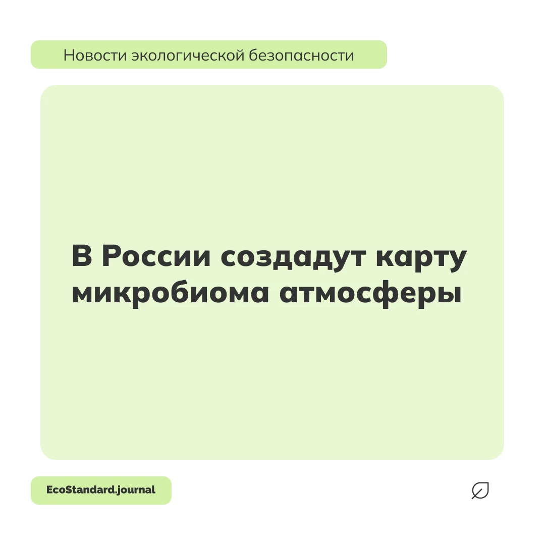 Ученые «Сириуса» начнут изучать биологический состав воздуха в Черноморском регионе. Ис...