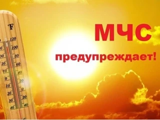ГУ МЧС России по Воронежской области: