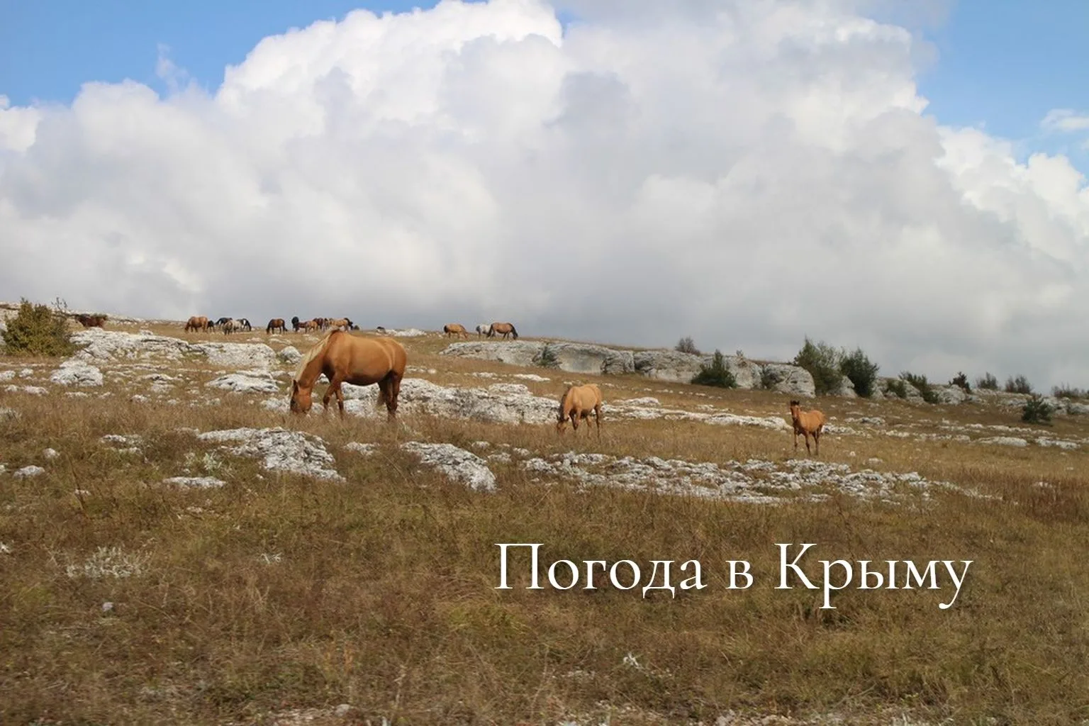 Доброе утро!