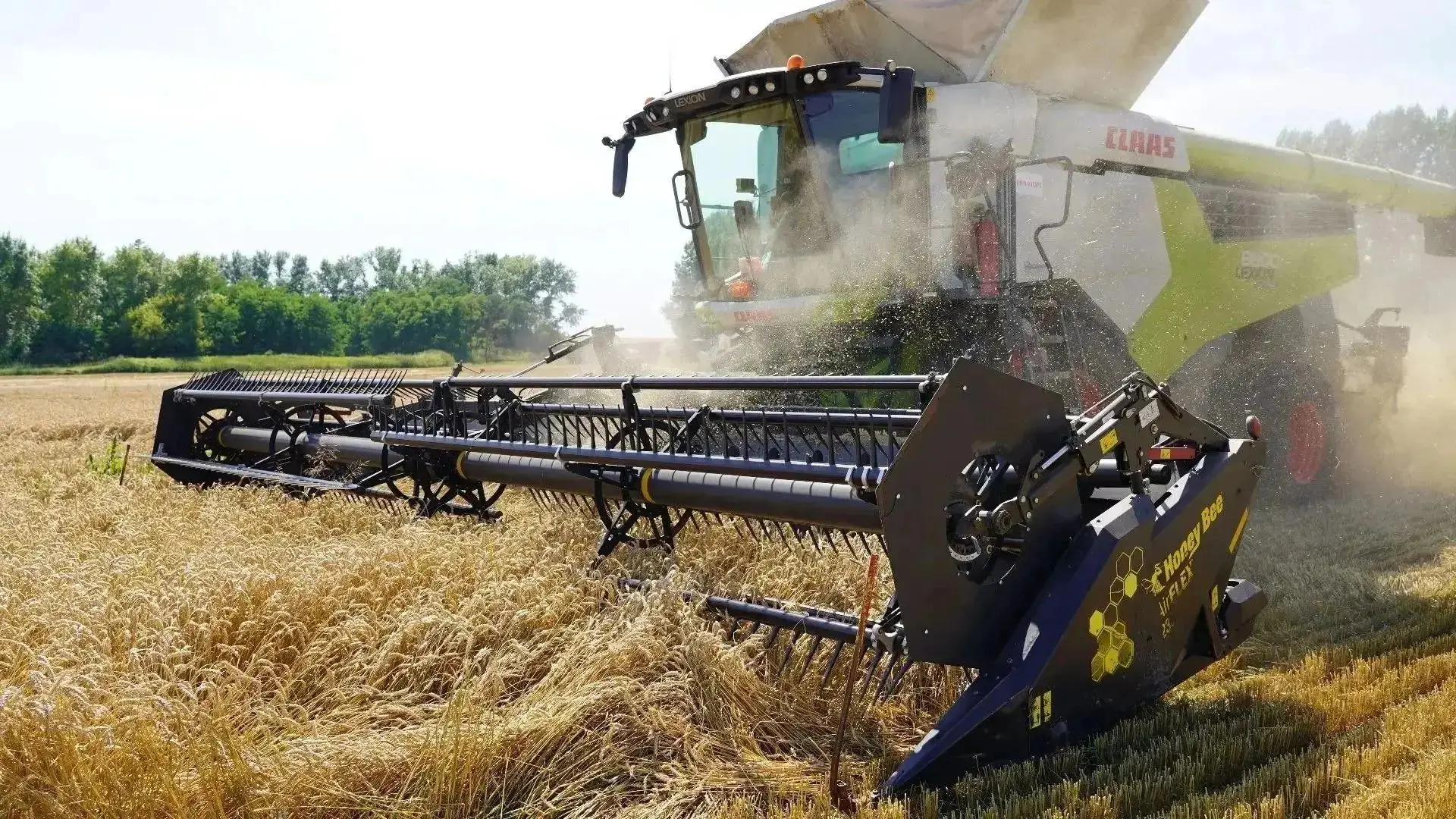 Александр Шуваев сообщил о завершении уборочной кампании ранних зерновых культур в Белг...