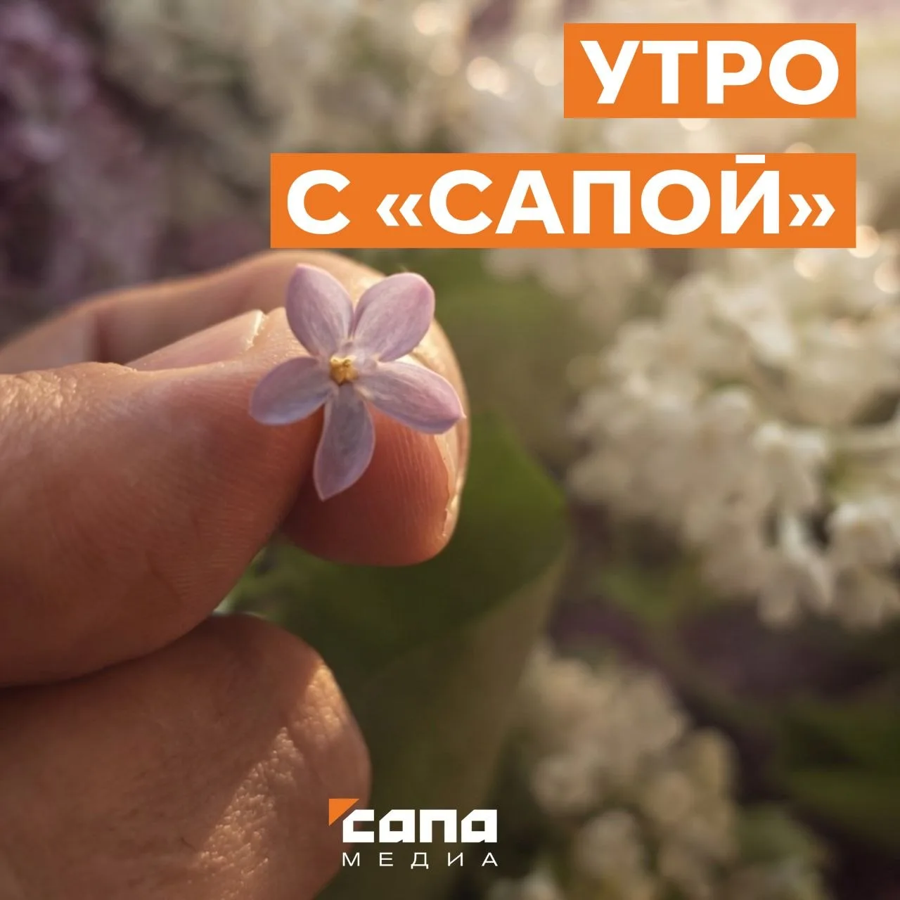 Информация, которая может тебе пригодиться:  🔸 Сегодня во Владикавказе в связи с проведением поминал