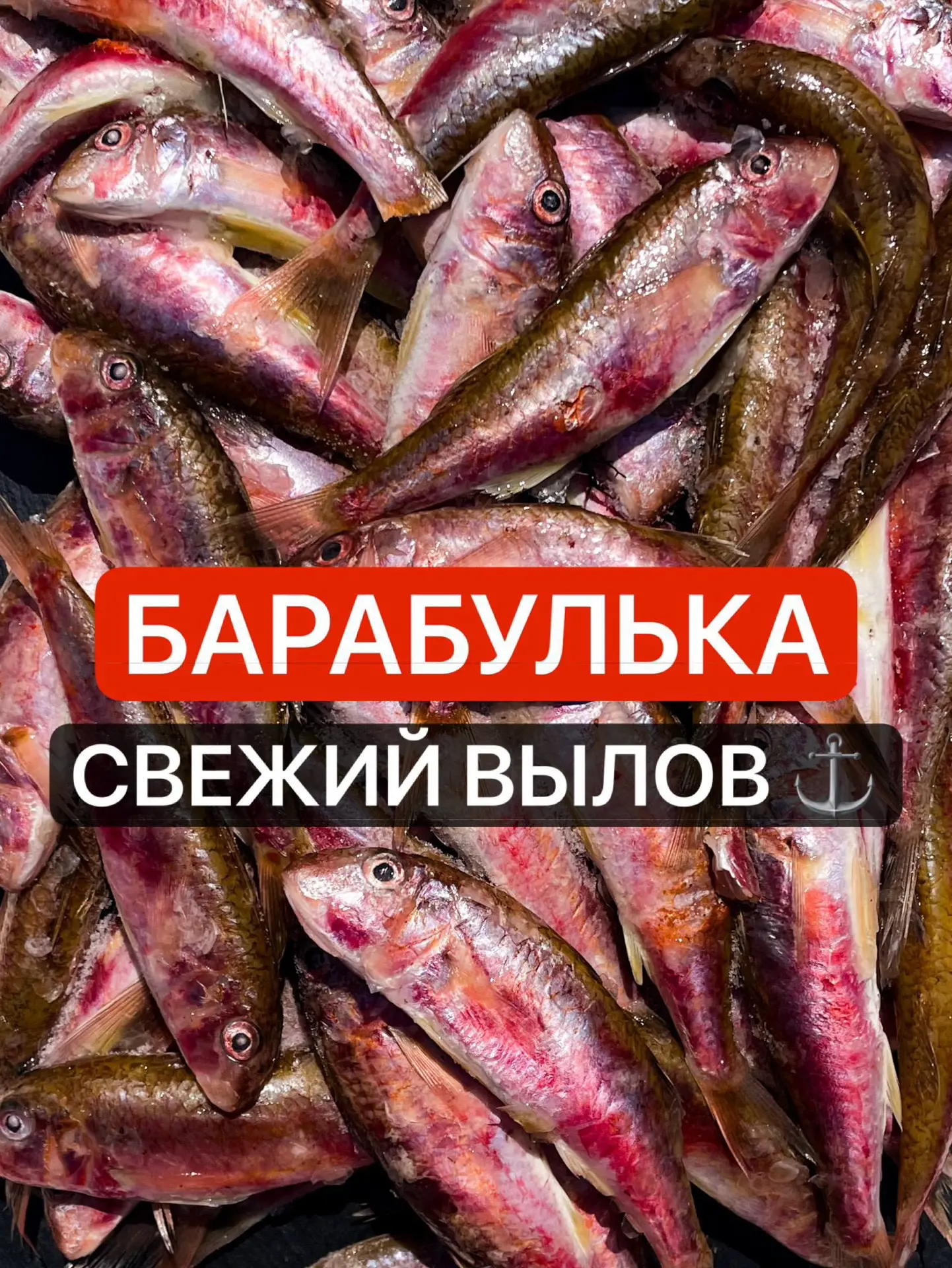 🐟 СЕЗОН БАРАБУЛЬКИ В САМОМ РАЗГАРЕ!