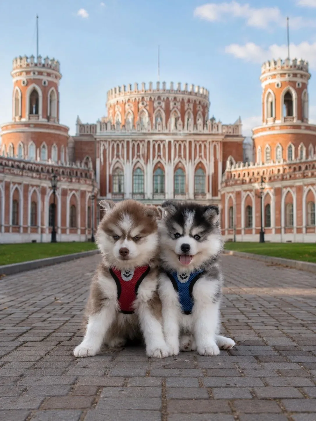 💥 В первые в этом году!