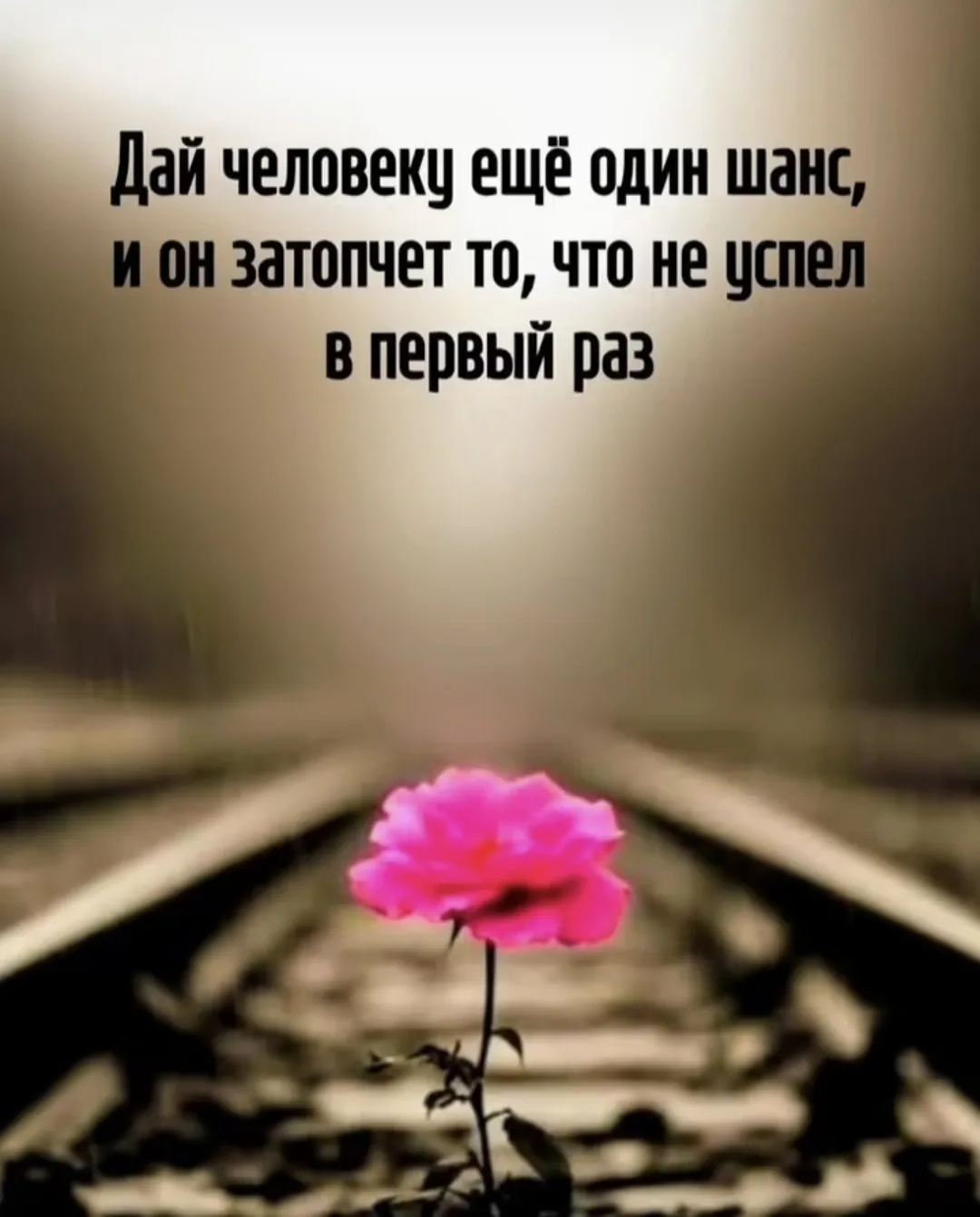 Цитаты на каждый день 😊