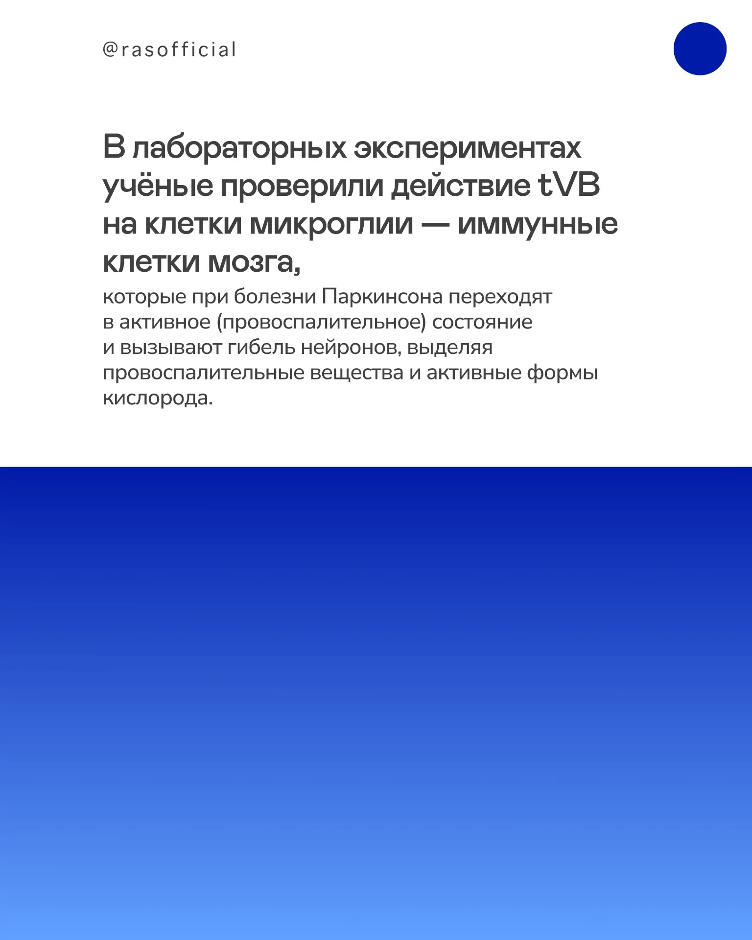 Вещество, найденное в винограде сорта «Альфа», может остановить болезнь Паркинсона