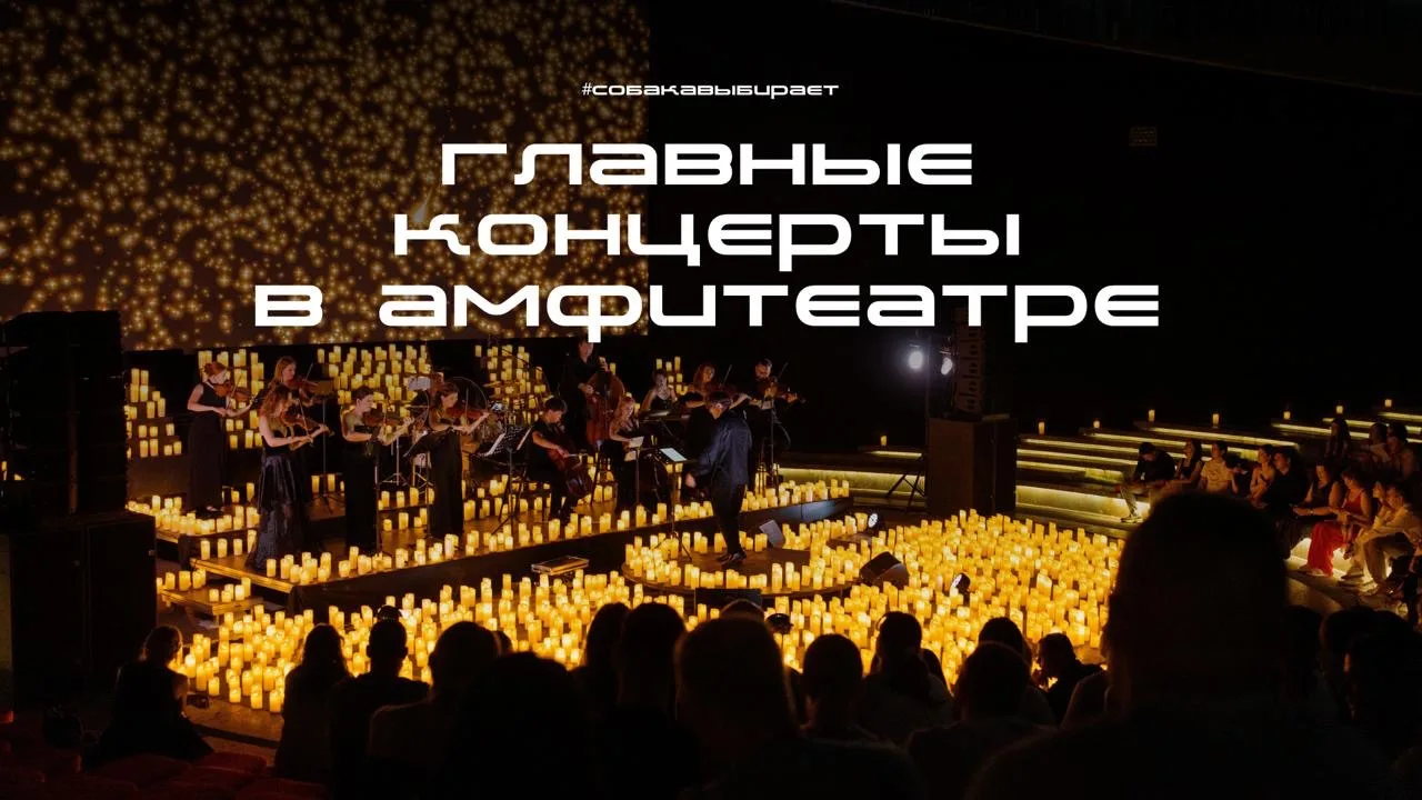 #собакавыбирает ⭕️