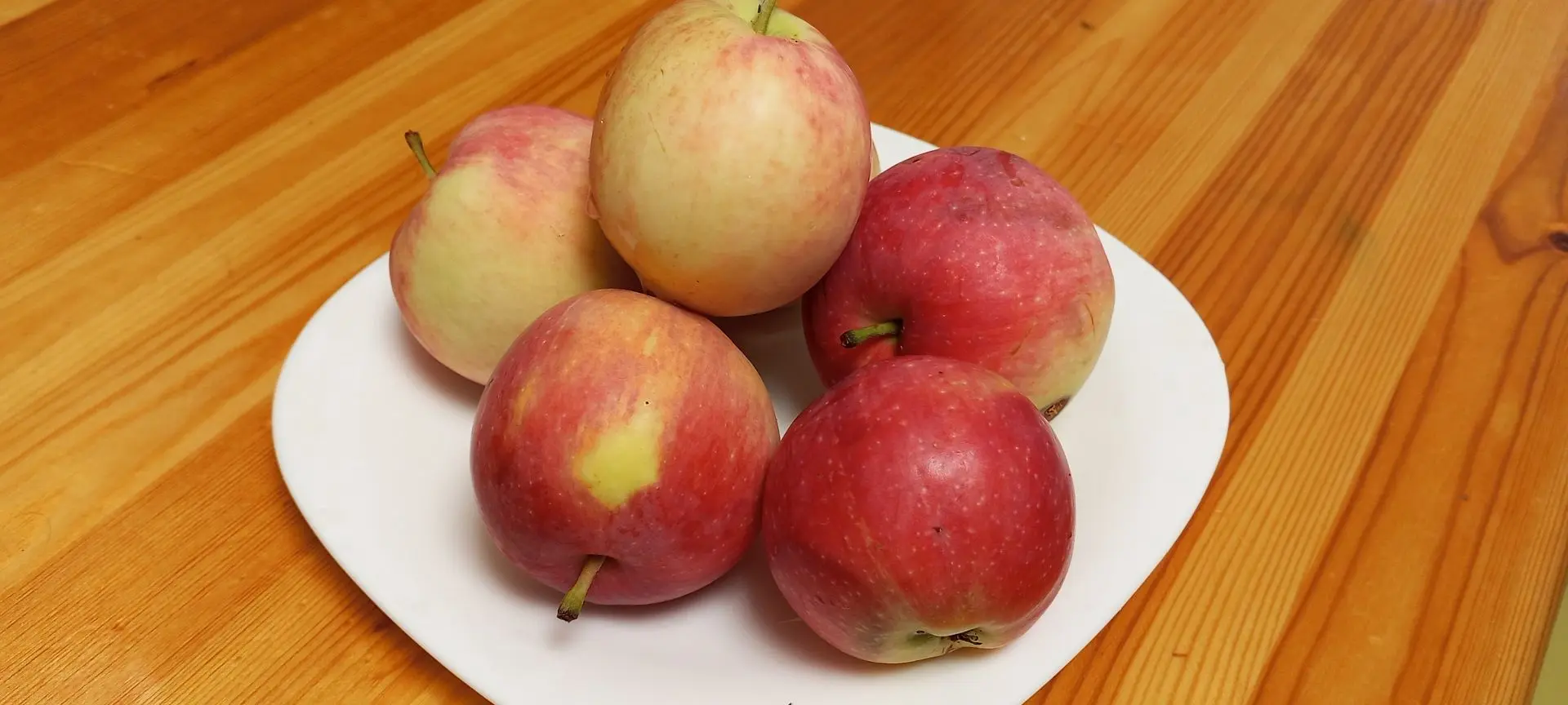 Всем доброе утро! Начинается яблочный сезон 🍎 Сейчас яблоки ещё не сильно крупные, но зато какие ар