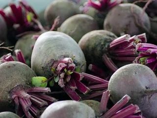 🍅 Как убрать свёклу и подготовить её к зимнему хранению