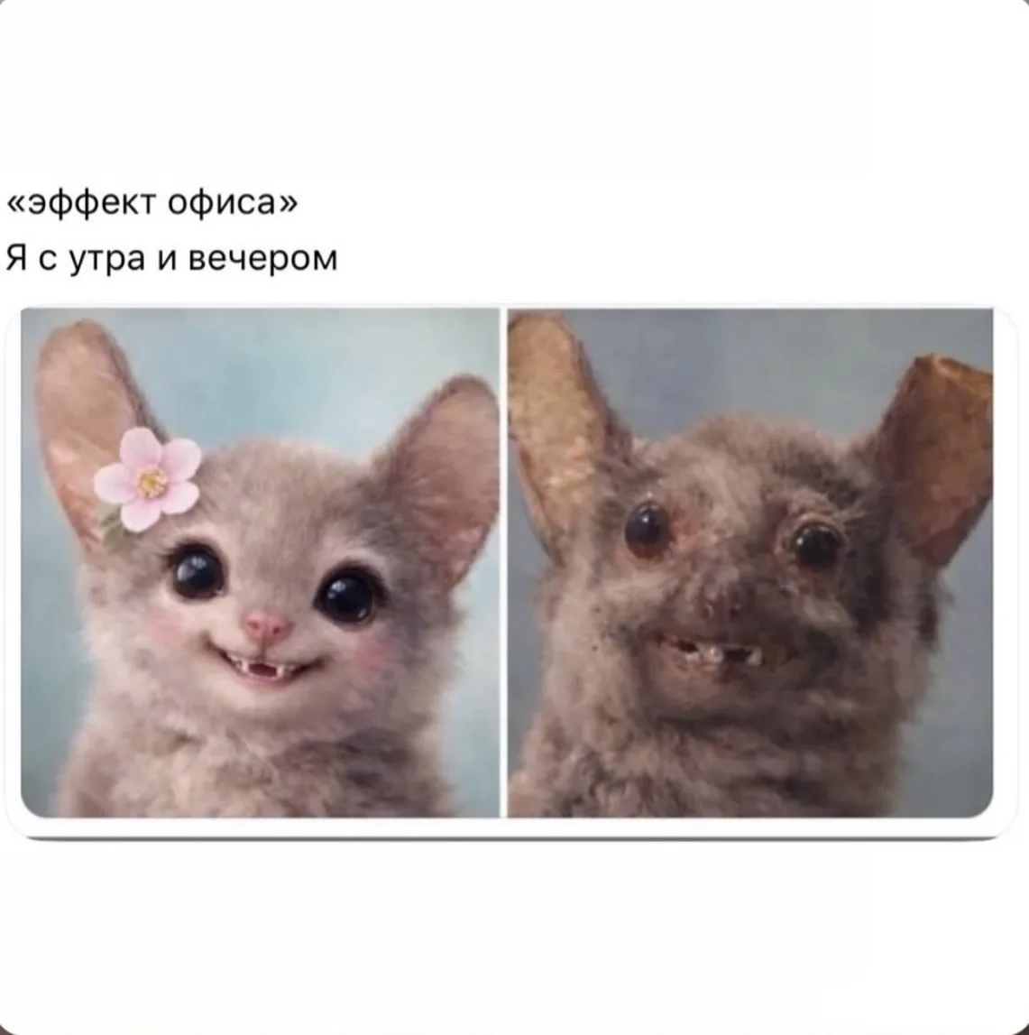 Скажите, что у всех так?
