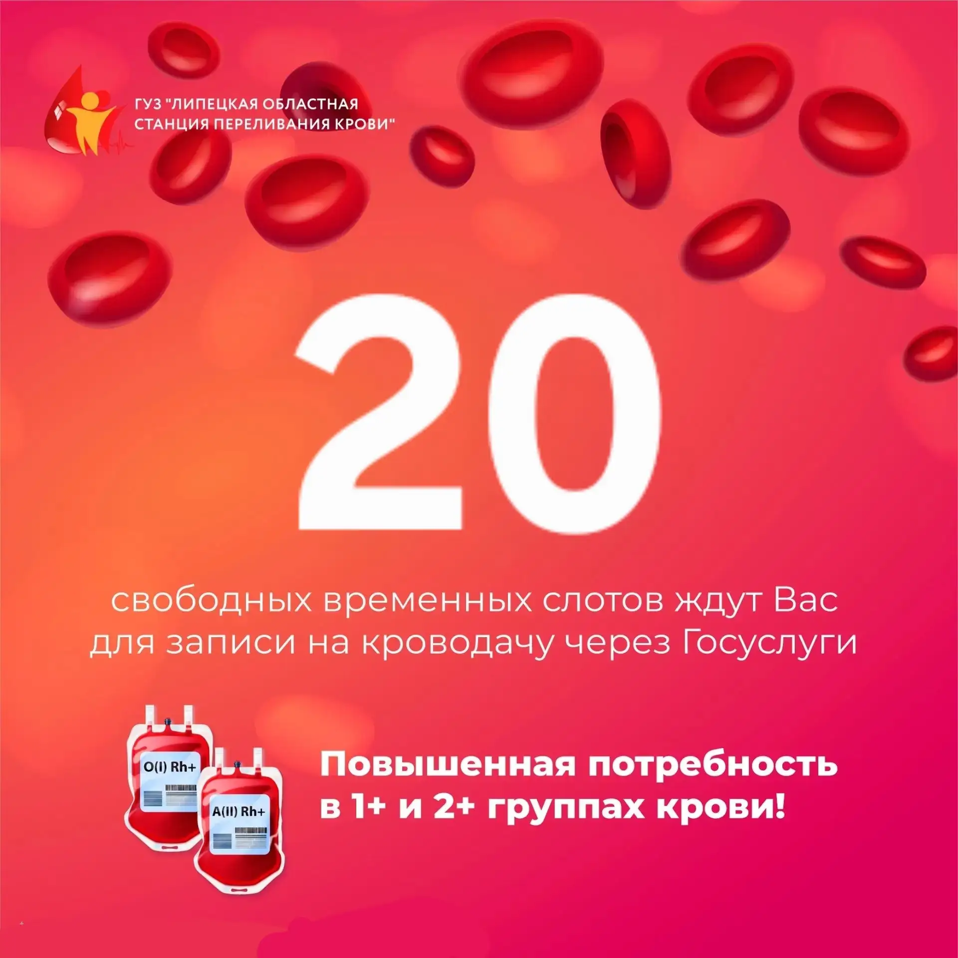 Друзья!

На 8 июня 2026 года осталось еще 20 свободных мест для записи на кроводачу через портал Гос