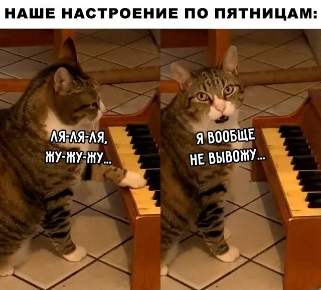Мем-прогноз на 18 сентября: Чего ожидать от сегодняшнего дня? Смотри на фото