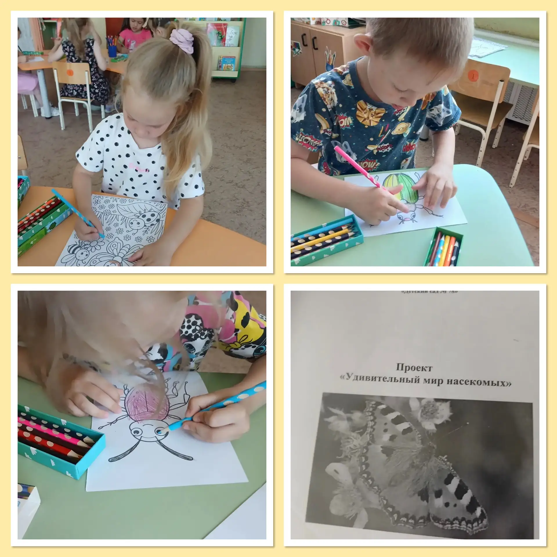#развитие 
#учимсяиграя 

🦋🐝🐞🦟🦗🕸️
«День насекомых» прошел в детском саду.
В дошкольном возраст