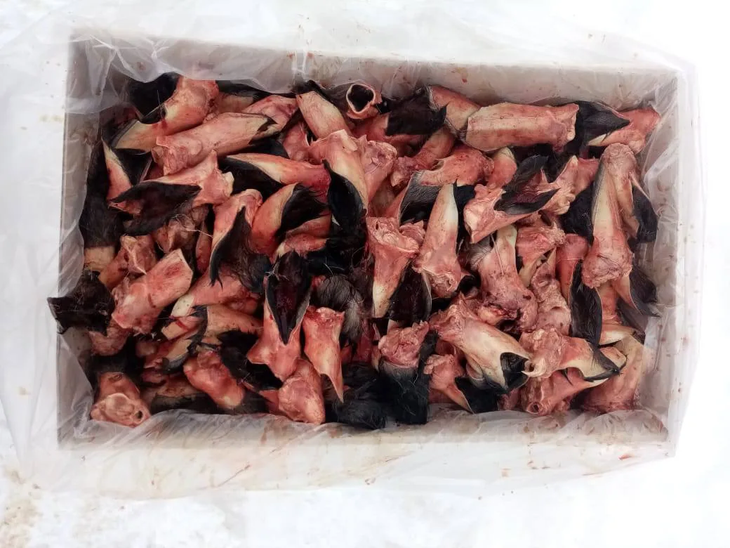 Друзья 🐾

В продажу поступили уши оленя😋

329 ₽/кг

Ждем вас! ❤️