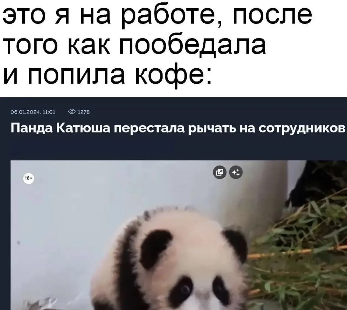 Панда очень счастлива