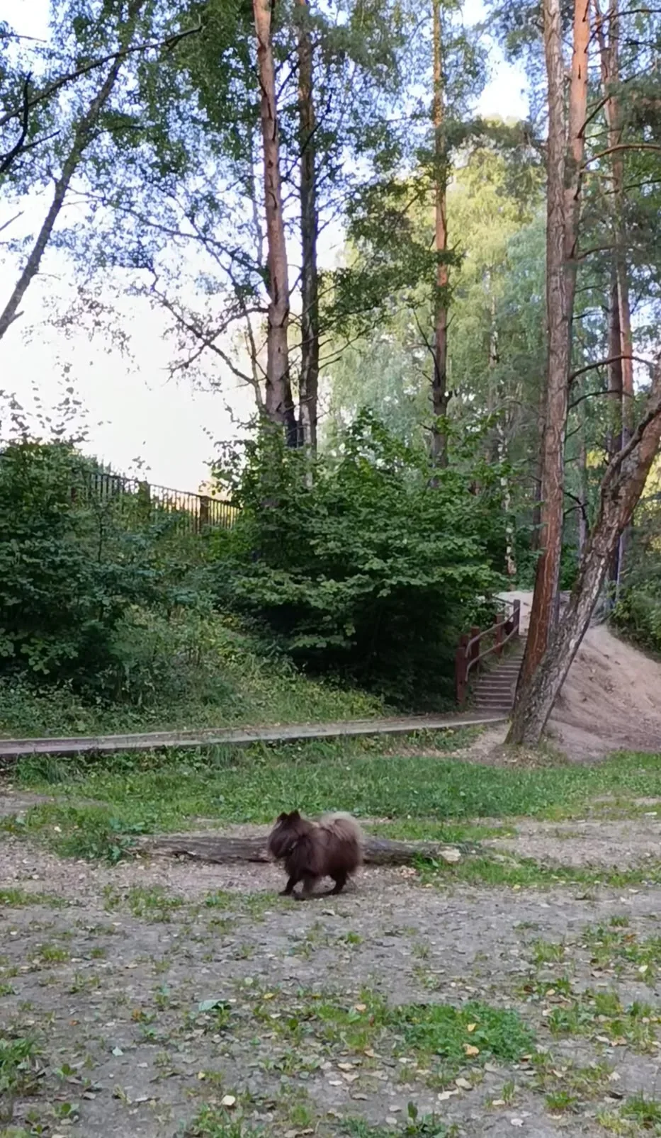 👤 Мария Вишневская