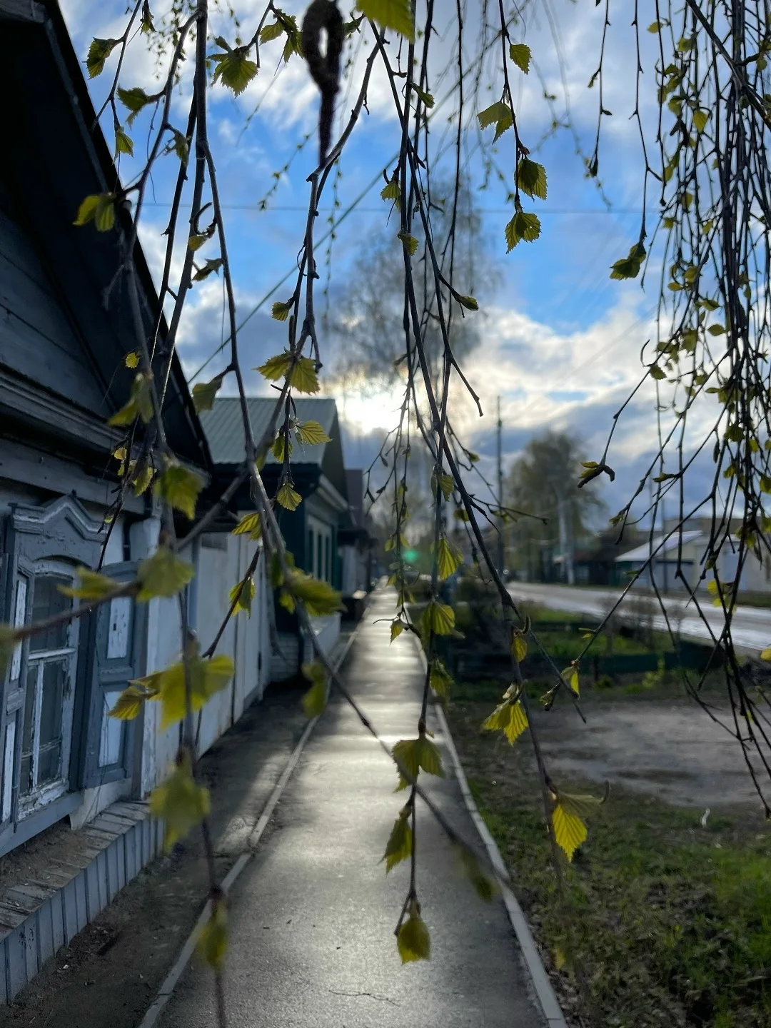 Присылайте Ваши фото в "Предложить пост"
