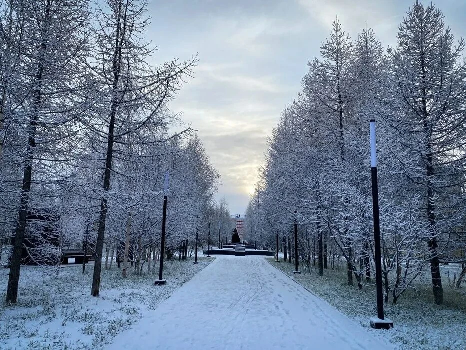 В Лабытнанги выпал первый снег❄️