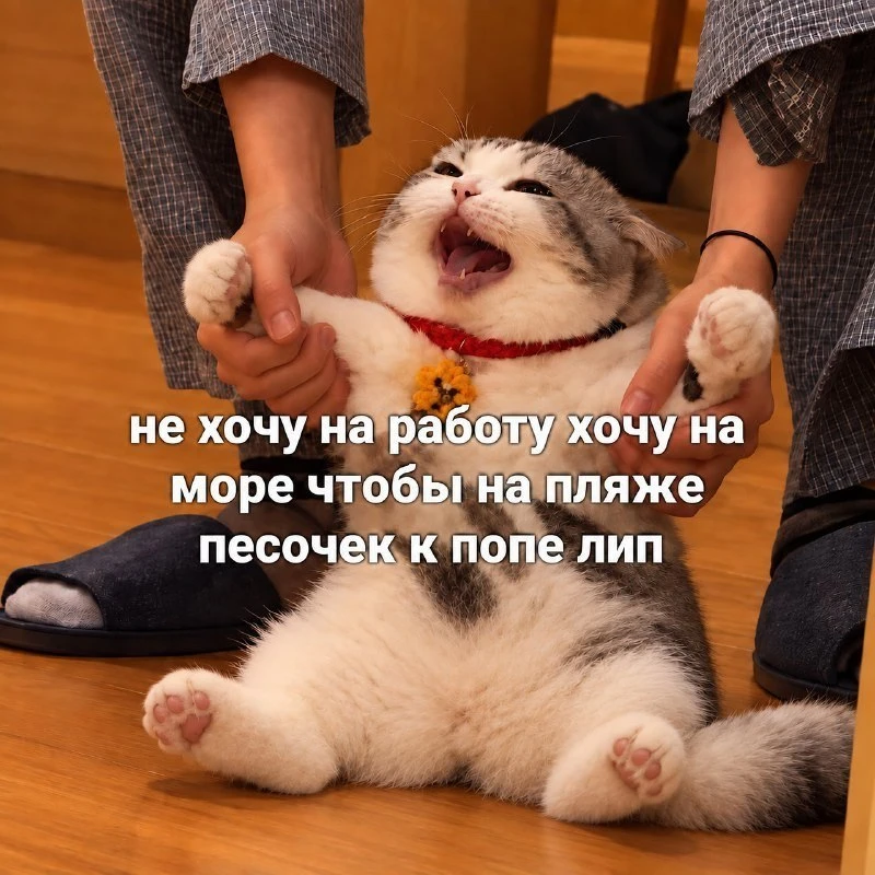 Всем доброго утра)))