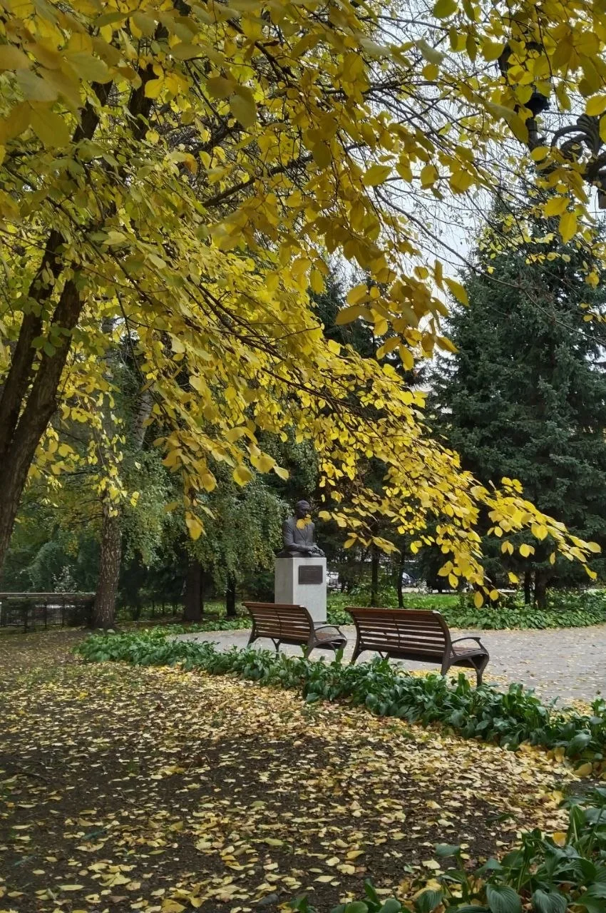 Жёлтый денек 💛
