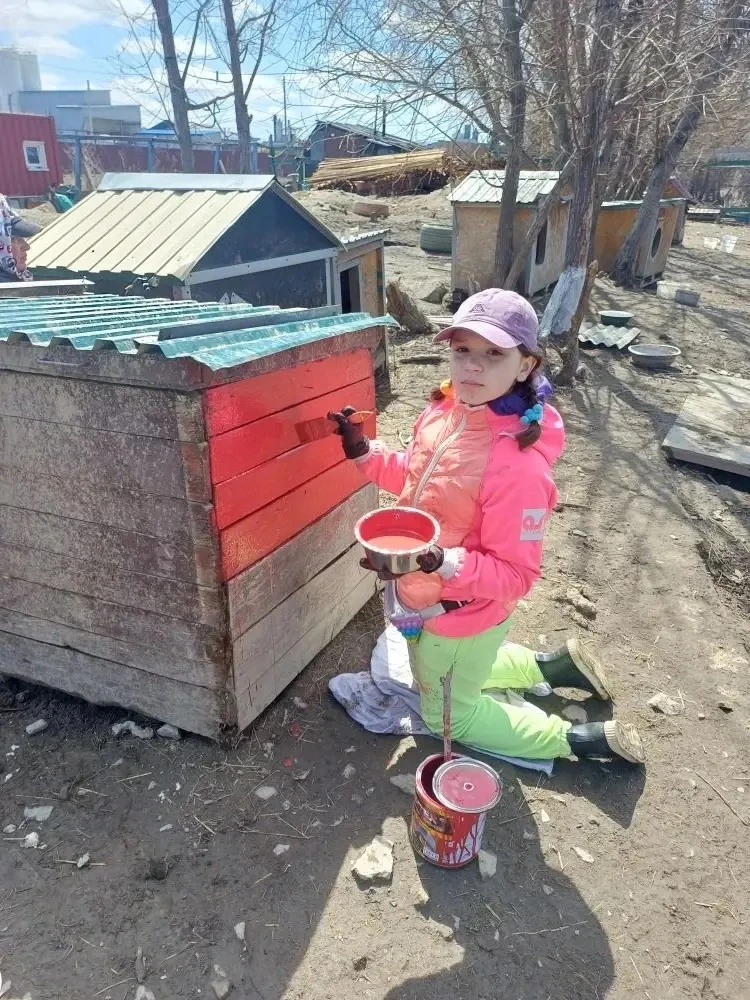 Дорогие друзья!