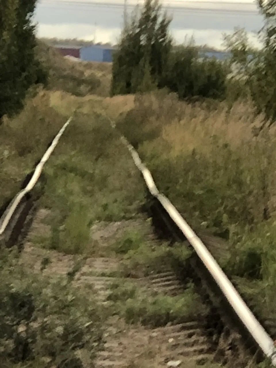Жители деревни Жуково в Раменском округе бьют тревогу. На частной железнодорожной ветке...