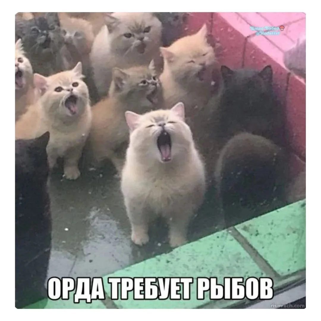 Подавай дань за 12 лет и отдай нам в Наташи Забаву Путятишну☝️