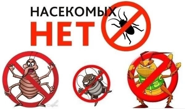 Борьба с насекомыми в многоквартирном доме 🦟