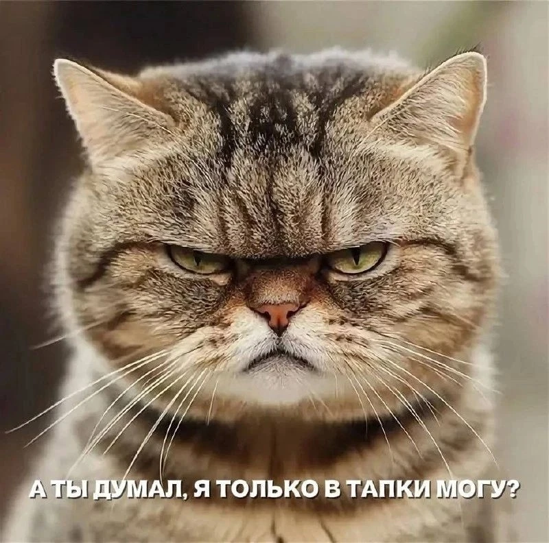 😨Кот взорвал квартиру