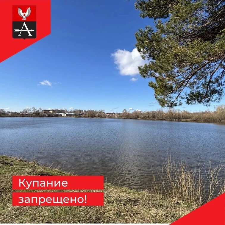 ❗️По данным Роспотребнадзора в воде Алнашского пруда выявлено повышенное содержание общих колиформны