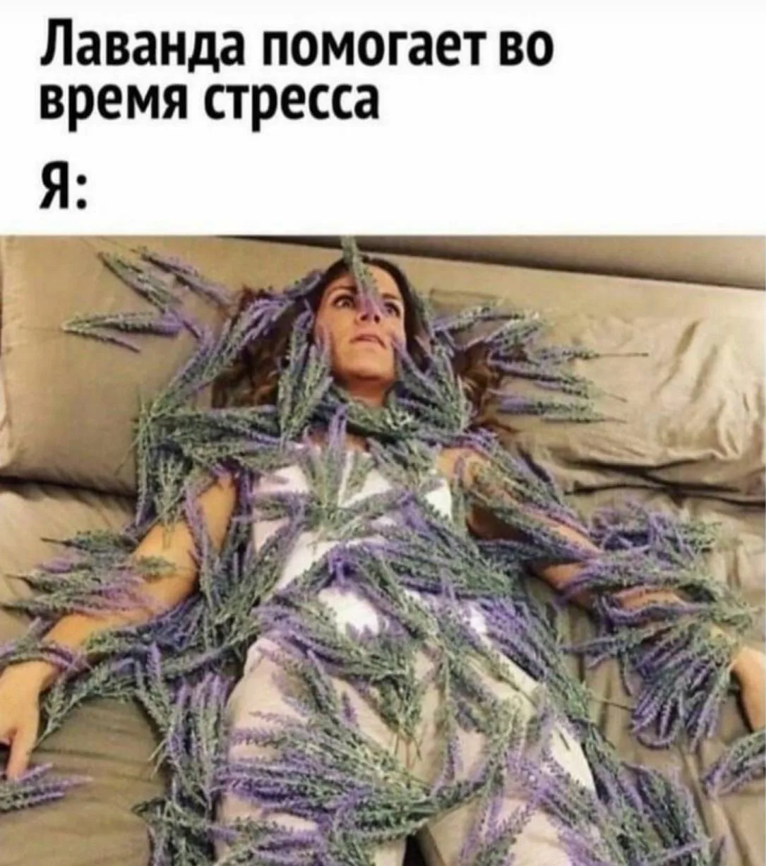 У меня совершенно нет времени на себя…